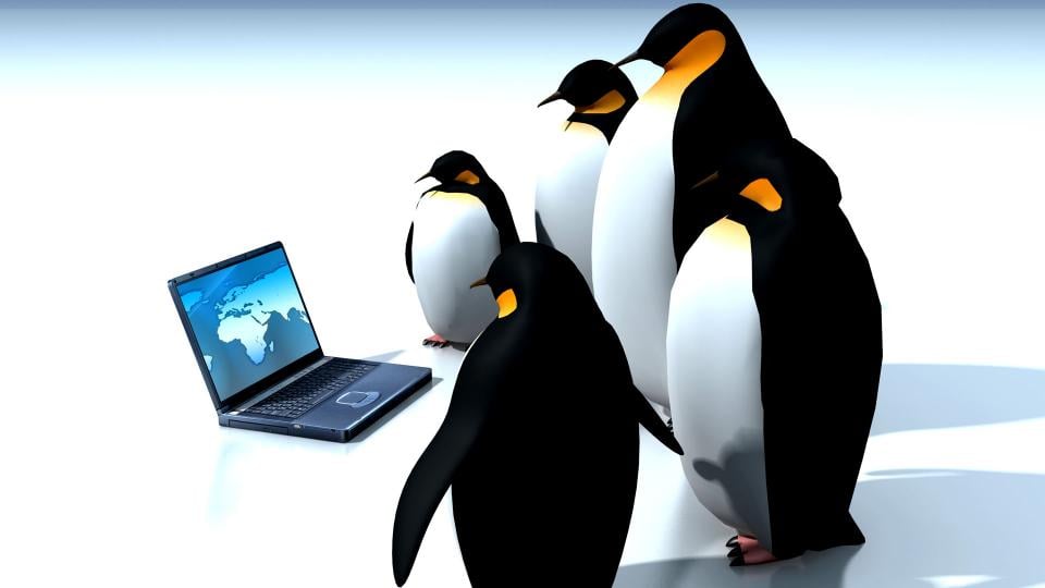 Por que e qual Linux usar para sua empresa?