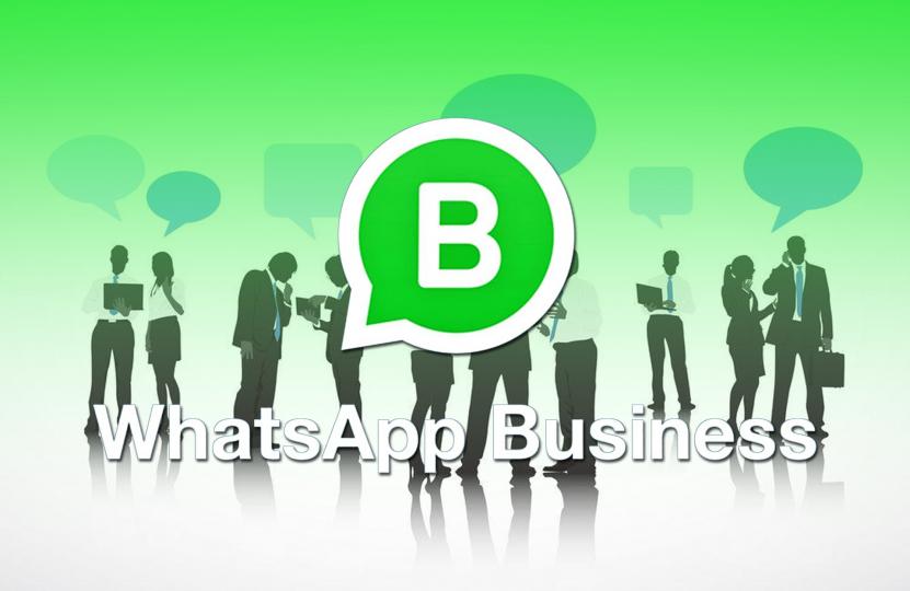 Saiba porque o WhatsApp Business é bom para seu negócio